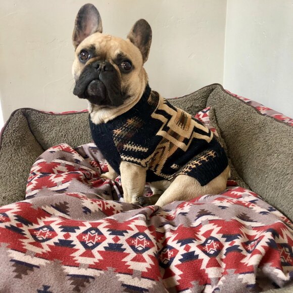 Pendleton Harding Pet Sweater Size Large - Picture 5 of 10